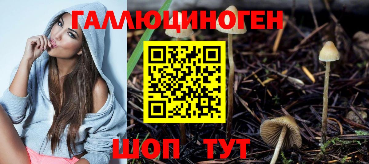 Феодосия  Галлюциногенные грибы GOLDEN TEACHER  Вход с VPN 